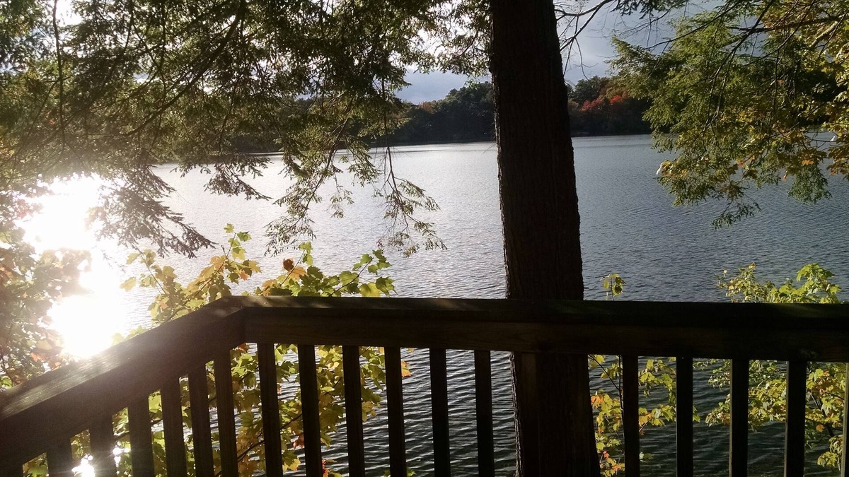 Turner Cottage | Natural Setting on Quiet Lake 1 hour from Portland, Newly installed internet