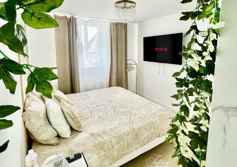 Gare Apartment | Naturally Suite