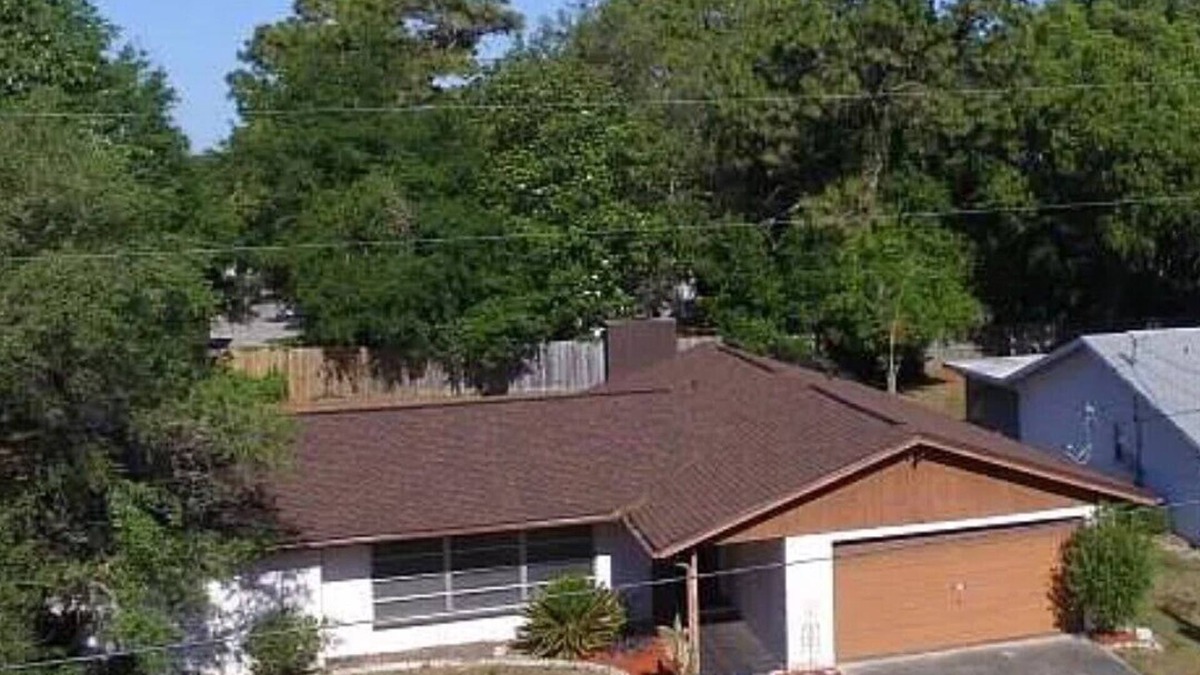 Crystal River House | NATURE COAST HOME OF THE MANATEE AND MANY ACTIVITIES