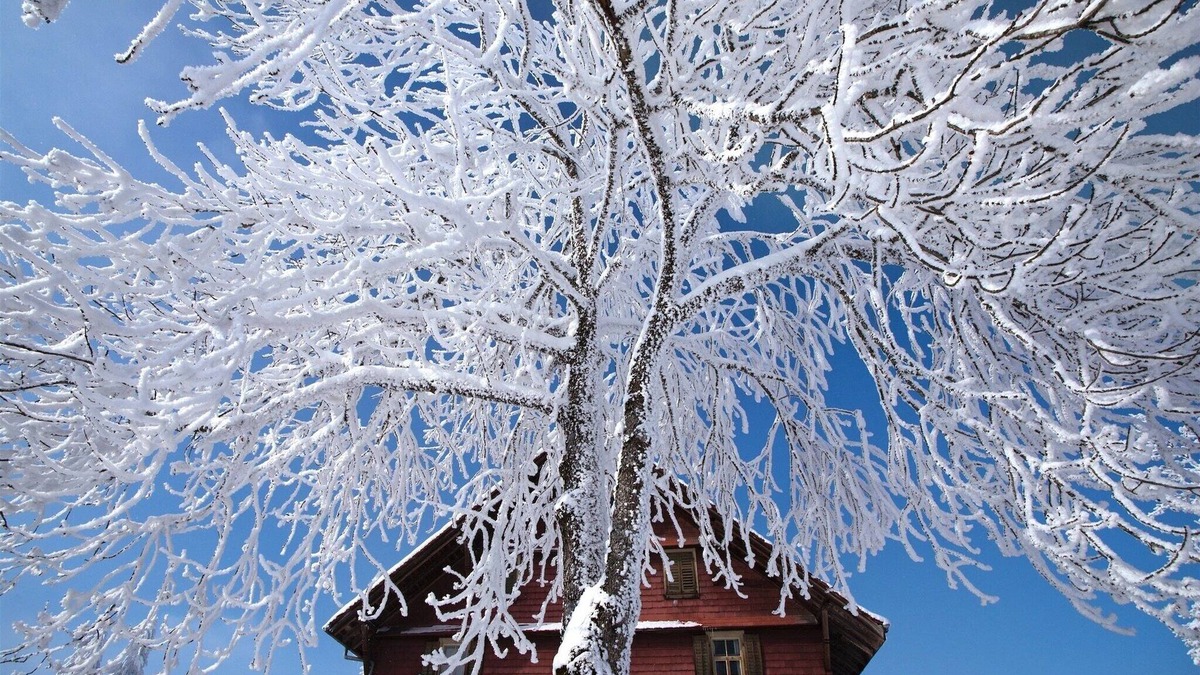Blausee House | Nature Escape in Kander Valley
