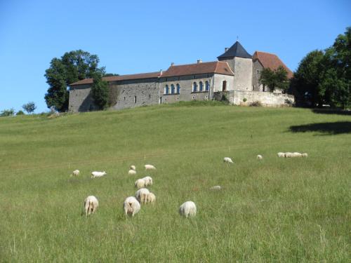 Tourtoirac Bed & Breakfast | Nature et Piscine au sommet du Périgord