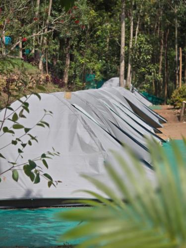 Suryanelli Other | Nature Hevean Holidays