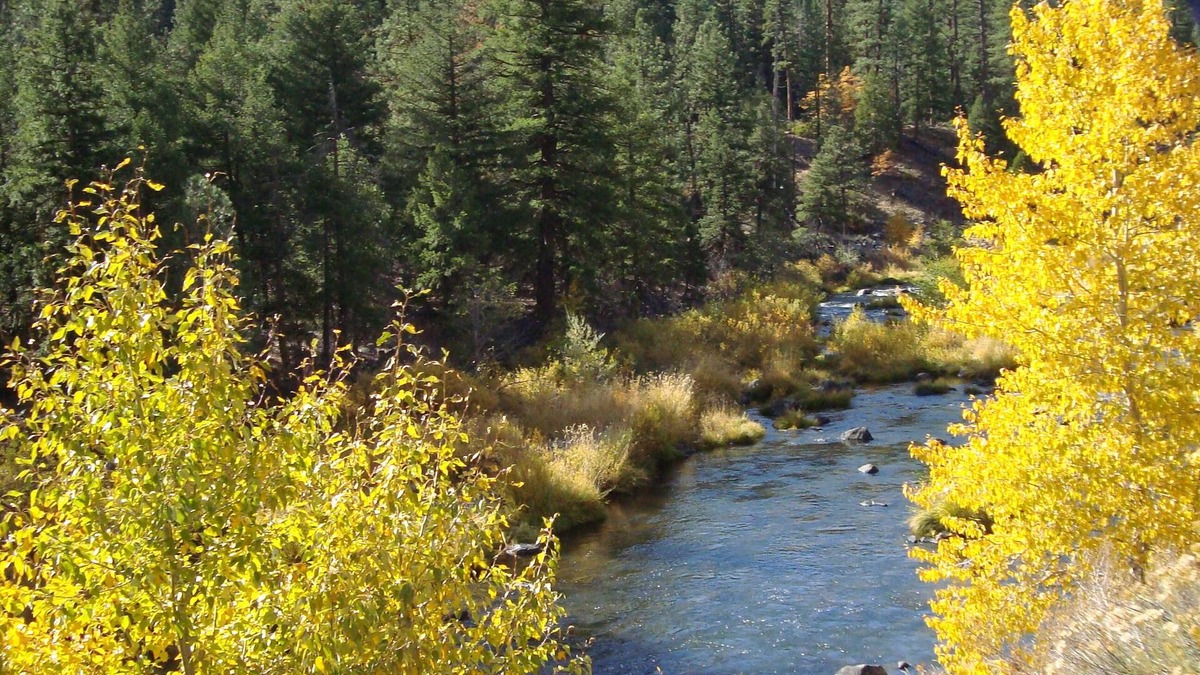Blairsden-Graeagle Cabin | Nature Sabbatical ~ Lovely cabin with View of Feather River on 40 Acres