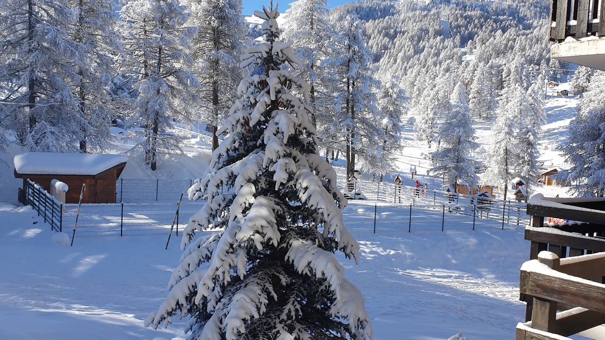 Risoul Apartment | NATURE - SNOW FRONT - CALM - FRIENDLY TEAM - VERY GOOD STAY ASSURED