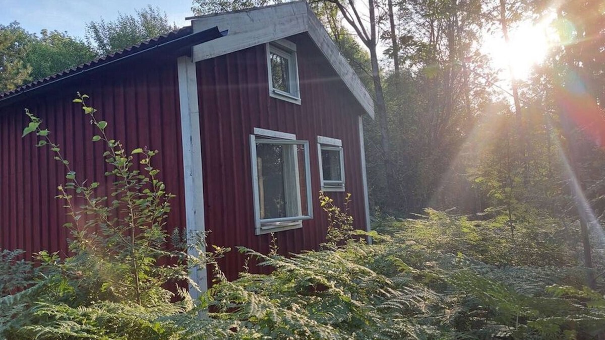 Torestorp House | Nature vacation in Sweden's southernmost wilderness, surrounded by forest and lake.