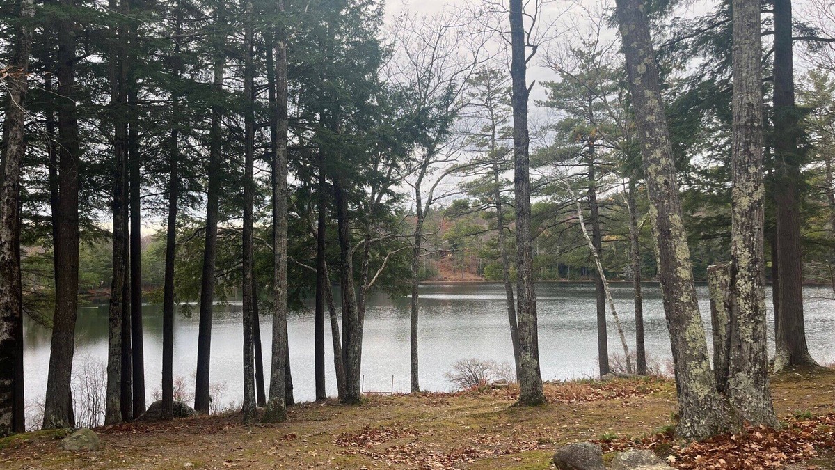 Meredith Cottage | Natures Escape on Randlett Pond
