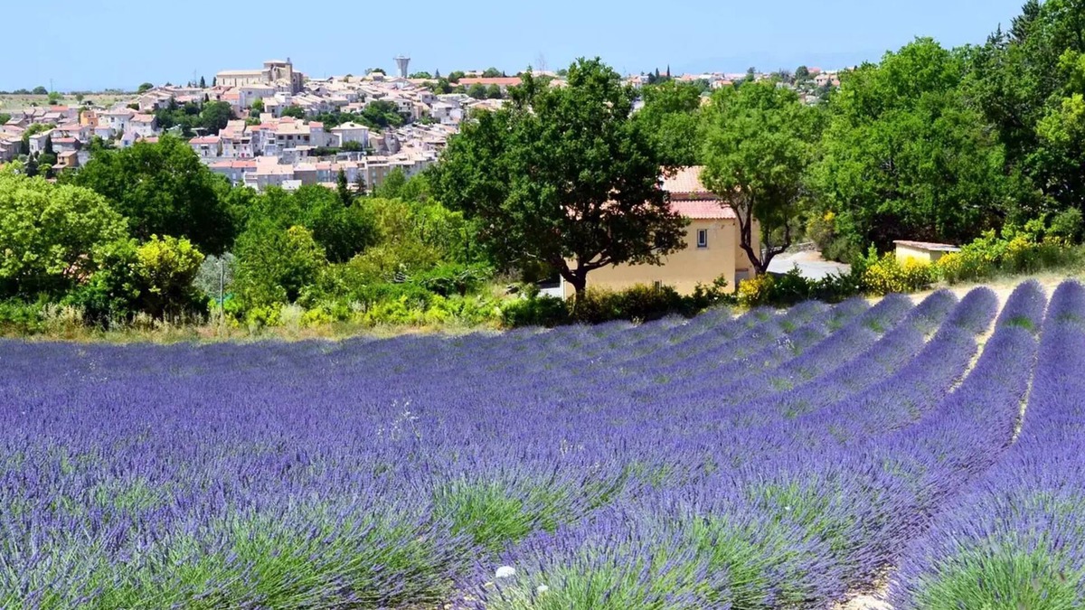 Valensole Villa | Naturist Camping Tikayan Petit Arlane * - COTTAGE 6 people