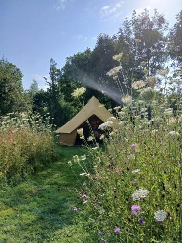 Maarkedal Other | Natuurglamping 't Wijland