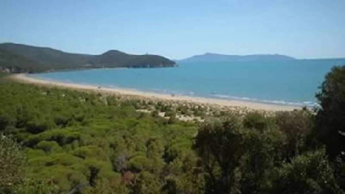 Montiano Apartment | Near the sea and towns of art apart. with terrace in lovely hilltop village