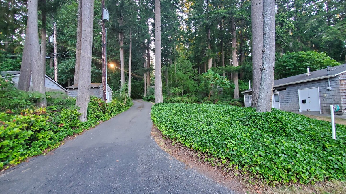 Poulsbo Cottage | Near beach cottage in quiet forest location, steps from pristine shellfish beach