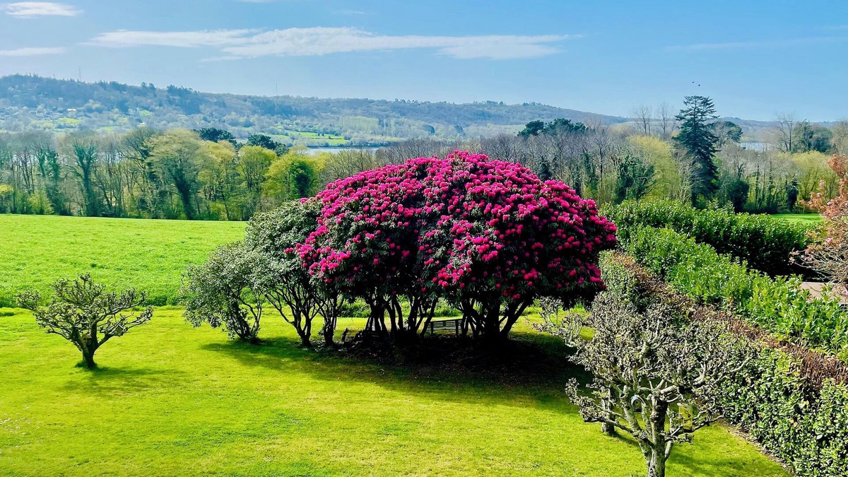 La Forest-Landerneau Apartment | Near Brest quiet 2 Bedroom apartment with view