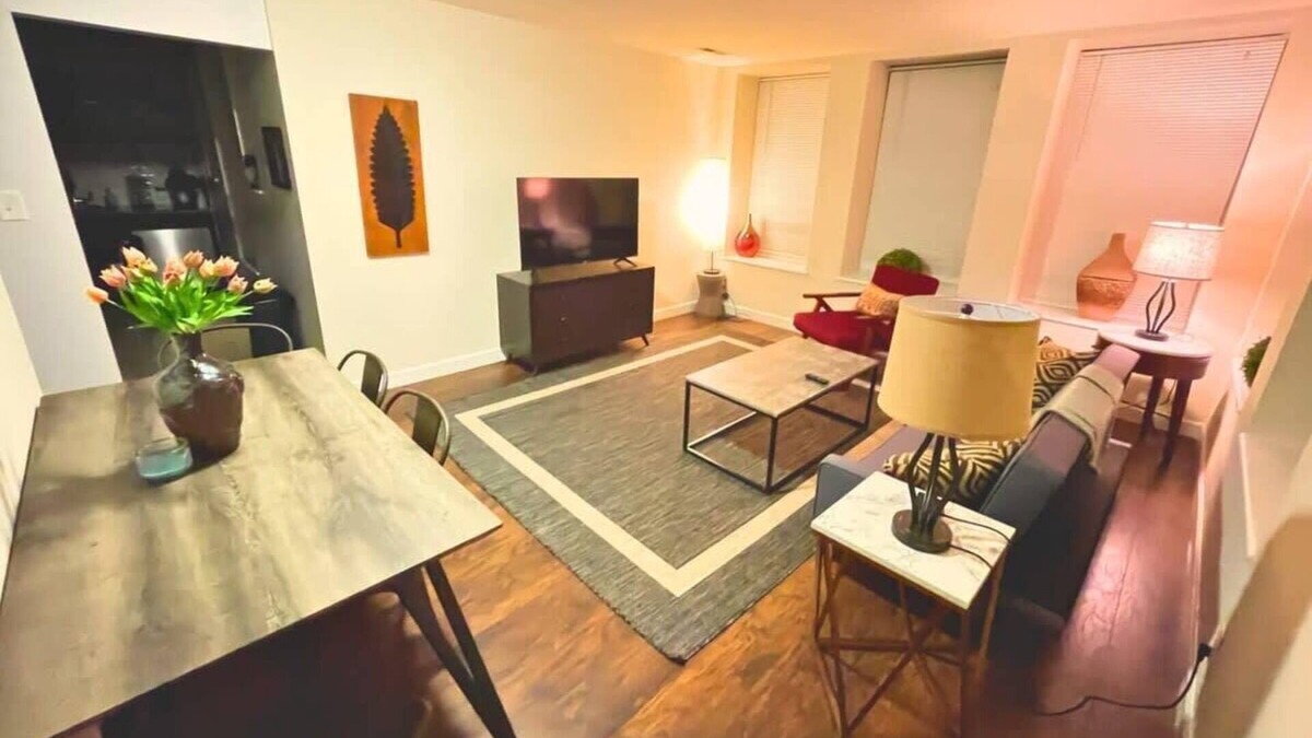 DeBaliviere Place Apartment | Near Forest Park, WashU, BJ Hospital, CWE 2BR W&D