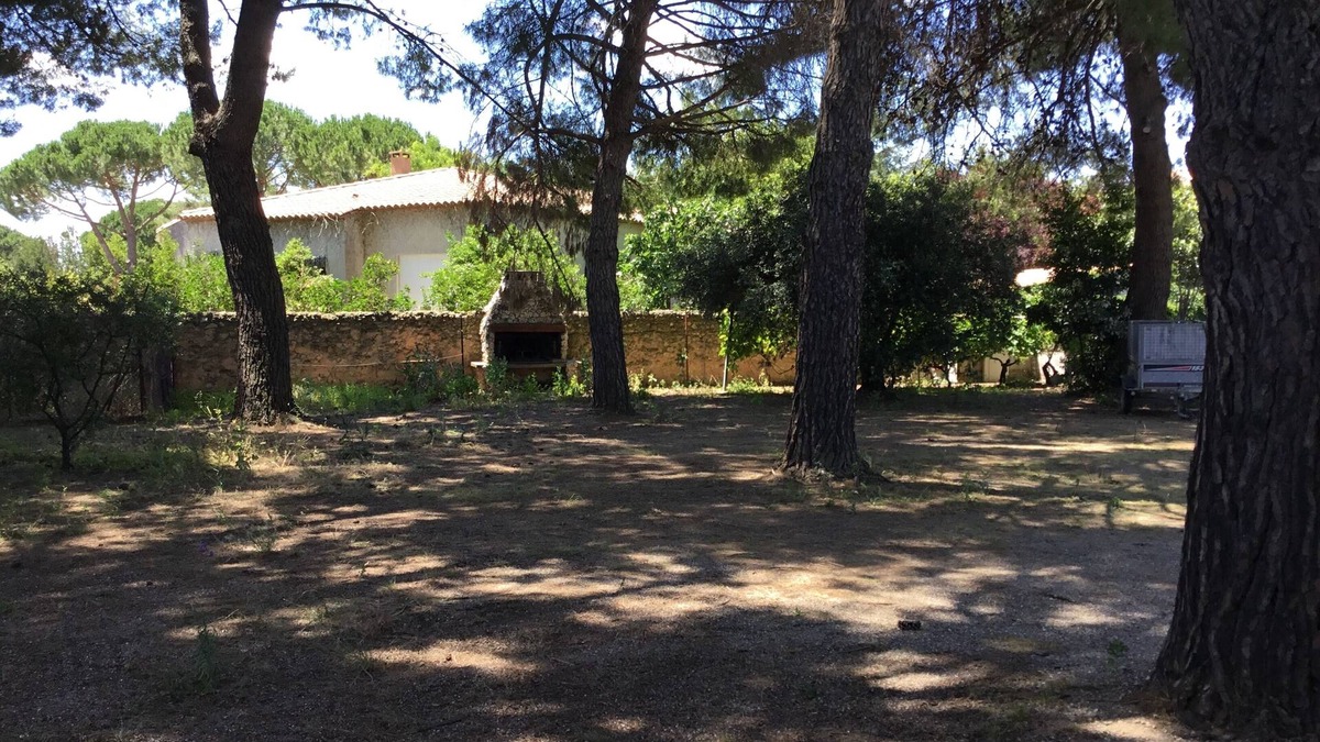 Alignan-du-Vent House | Near pezenas gite Ground floor of a villa, with large private pine garden.