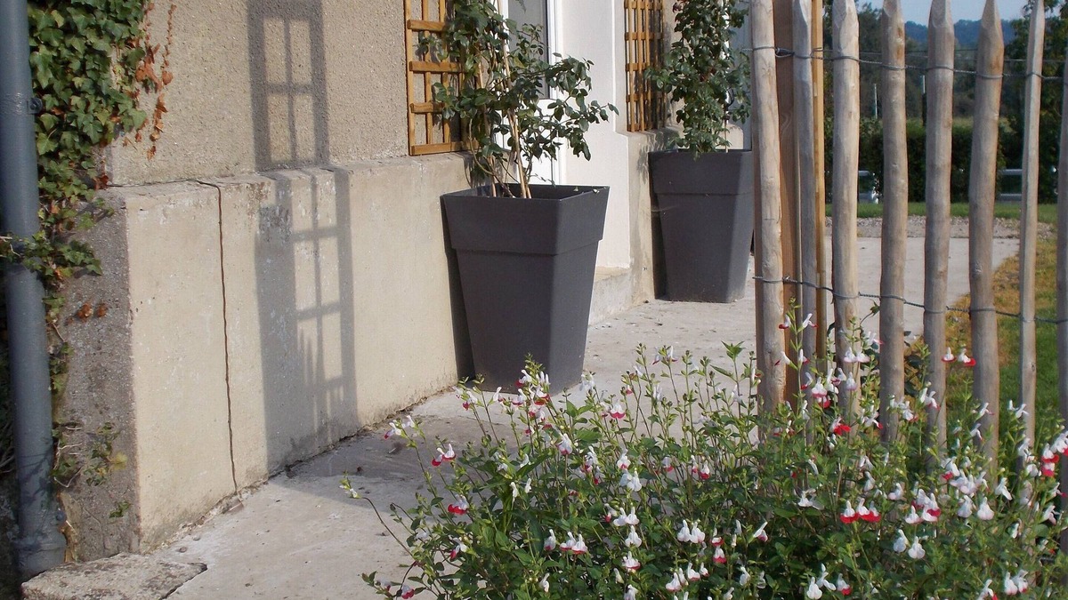 Belle-et-Houllefort House | NEAR WIMEREUX LODGE LARGE CAPACITY 21 PERS IN PEDAGOGICAL FARM