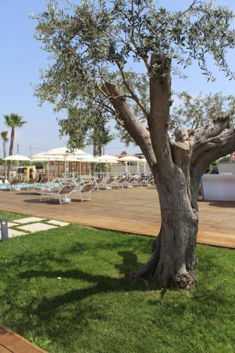 Province of Caserta Apartment | Neas Resort