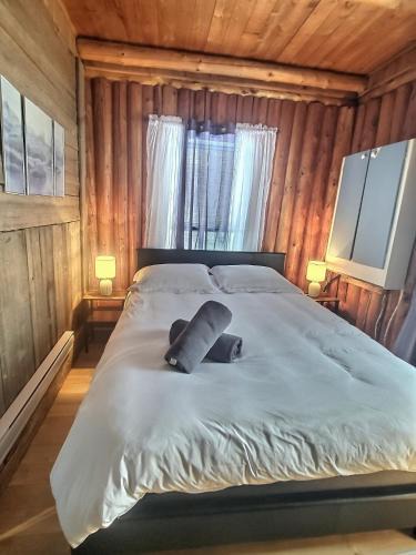 Riviere-Rouge Ski Chalet | Nelson Log Cabin in Rivière-Rouge
