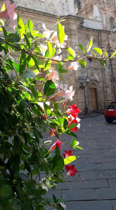 Guglionesi Bed & Breakfast | Nenet