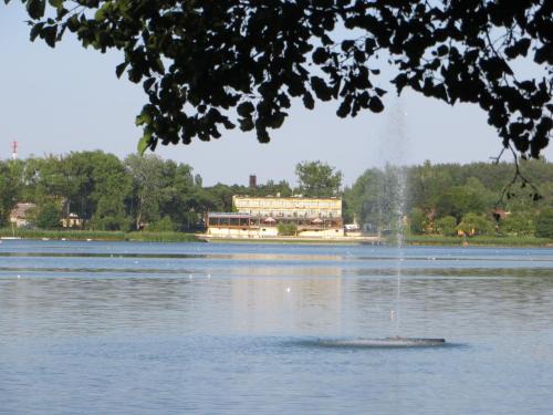 Miedzychod Bed & Breakfast | Neptun
