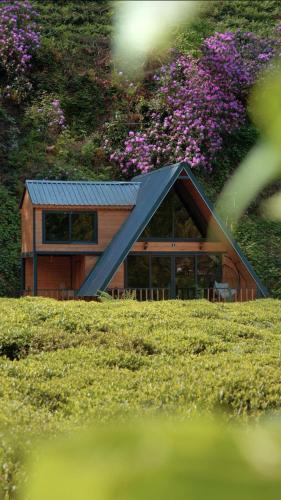 Cayeli Villa | Nesli Villa & Bungalow - Dubleks Bahçeli Villa
