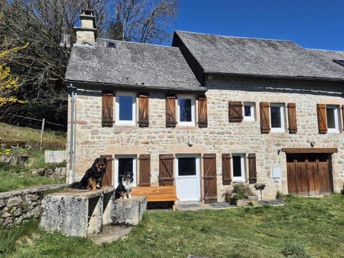 Saint-Setiers House | NESST - Gîte Horse & Dog Friendly Cottage