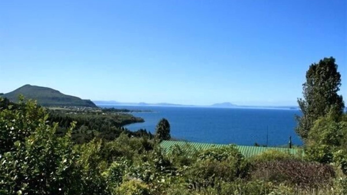 Pukawa Cottage | Nestled Atop the Lane - Pukawa Bay Holiday Home
