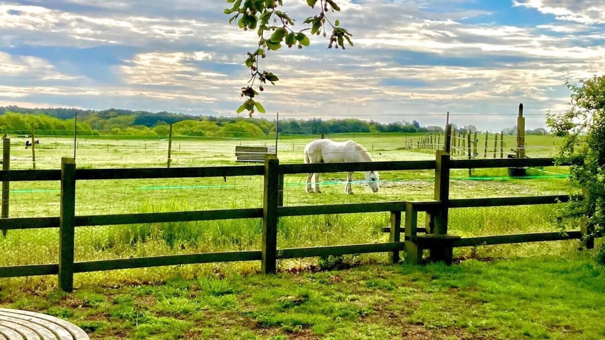 Blythburgh House | Nestled between Southwold and Walberswick- The Nest