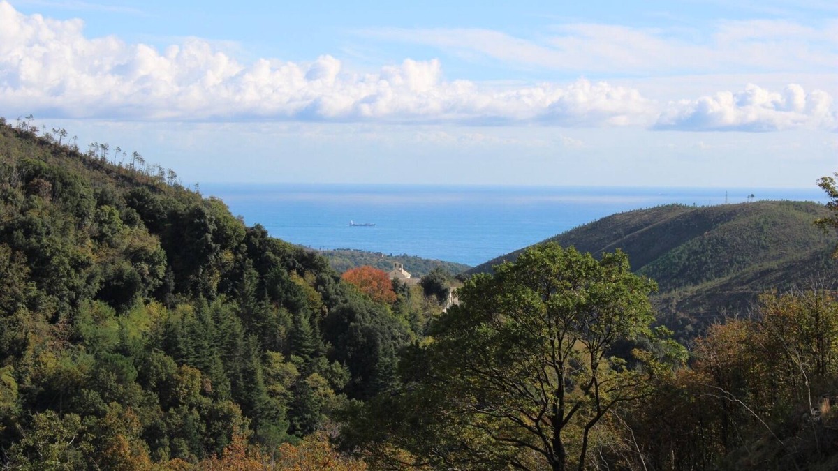 Varazze House | Nestled in a centuries-old forest on the first hill 15 minutes from the sea