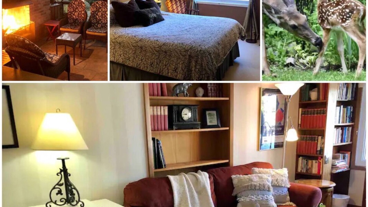 London Apartment | Nestled in nature; 2BD apt. in artist & writer's home