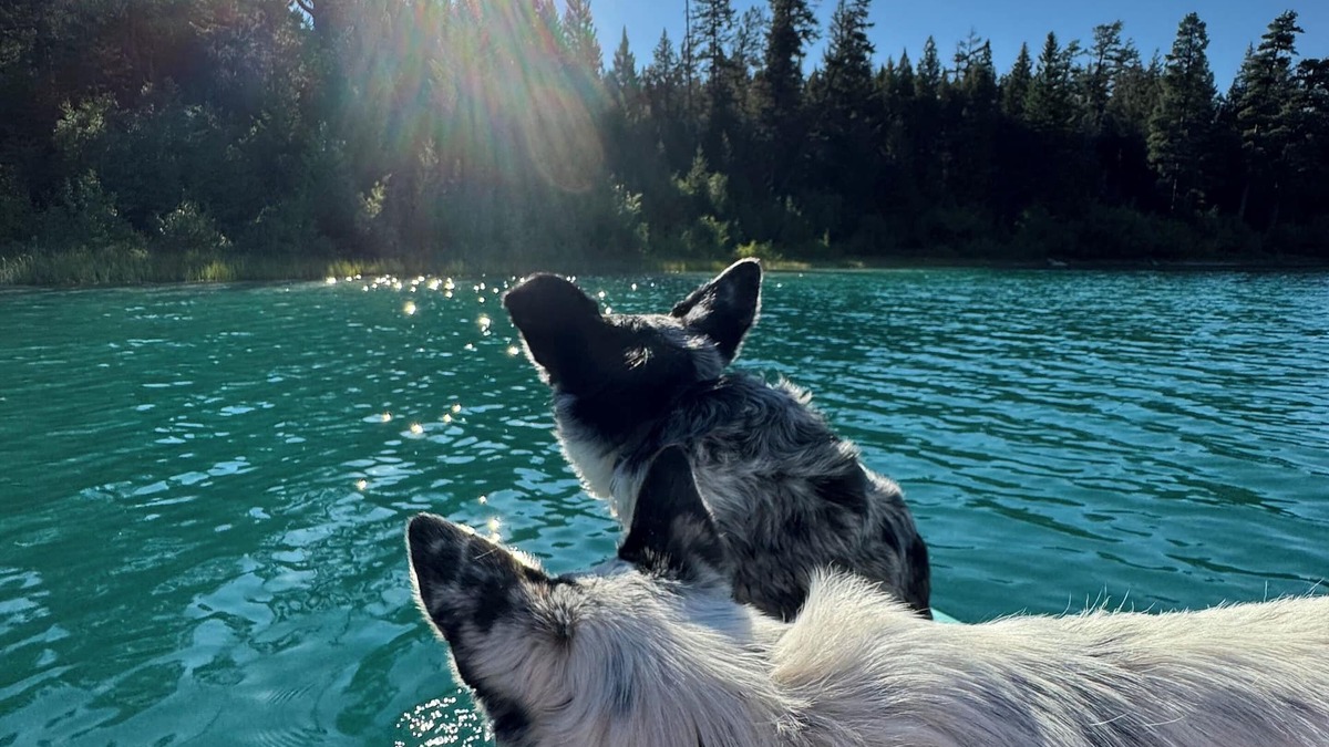 Merritt Other | Nestled into the mountains, relax under the star in the hot tub