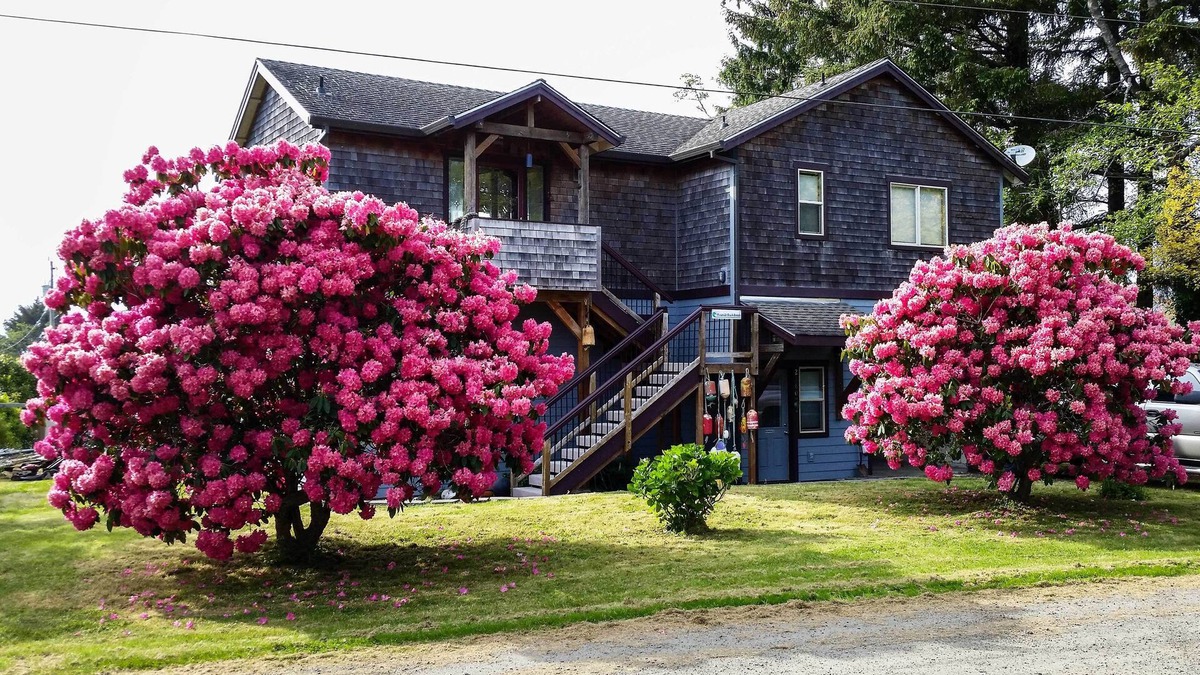 Netarts House | 'Netarts Nest' Coastal Home w/ Deck & Yard!