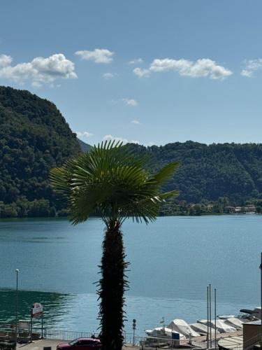 Ponte Tresa Apartment | Neue Gartenwohnung mit Sicht auf den Luganersee
