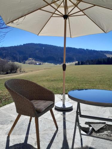 Maierhofen Apartment | Neueröffnung, 2 wunderschöne Ferienwohnungen im Grünen
