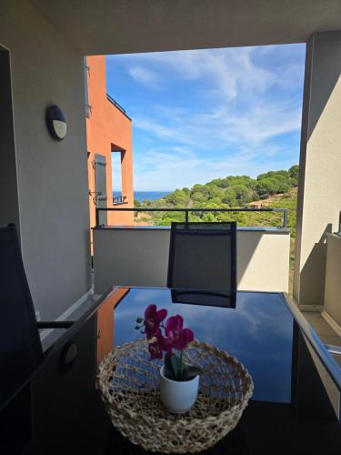 Collioure Apartment | Neuf et nouvelle top gestion, hyper calme, vue superbe sur mer & vignes