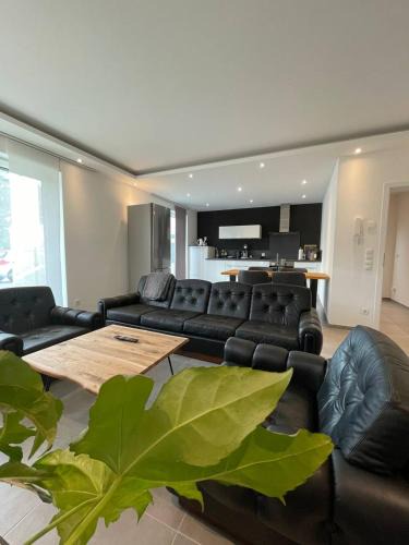 Kruft Apartment | Neuwertige Erdgeschosswohnung mit Terrasse in Kruft!