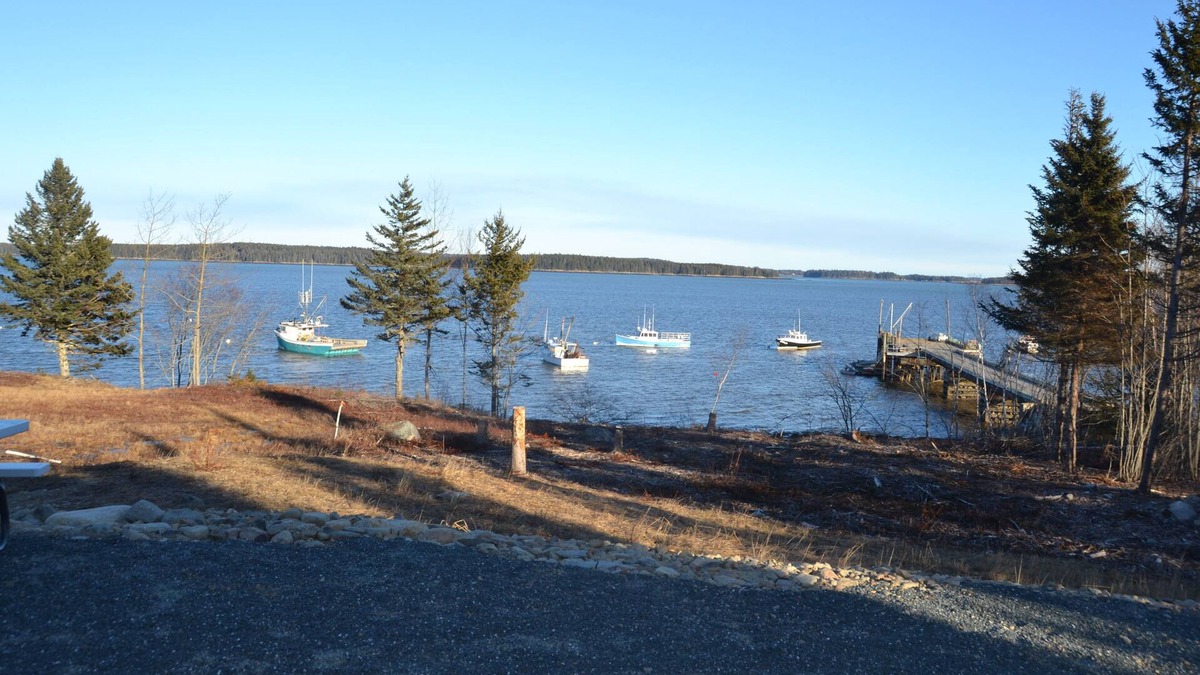 Milbridge House | (New) Beautiful Ocean View - Cottage - Access to the Shore - 2 houses to rent