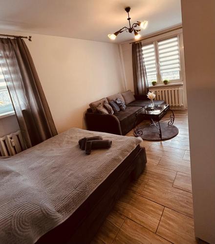 Pila Apartment | New Classic 30m.