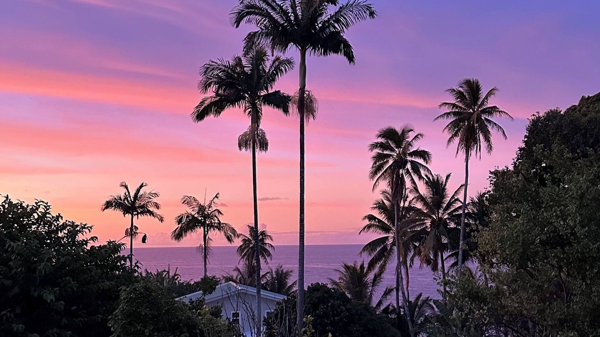 Ninole House | NEW! Come experience this private gated property with Ocean and stream views.