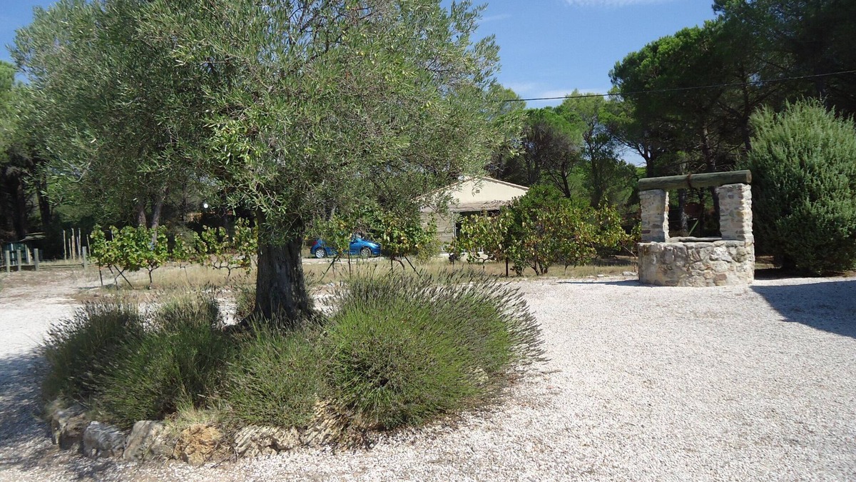Roquebrune-sur-Argens House | New comfortable house, air conditioned located in pine forest, semi private pool