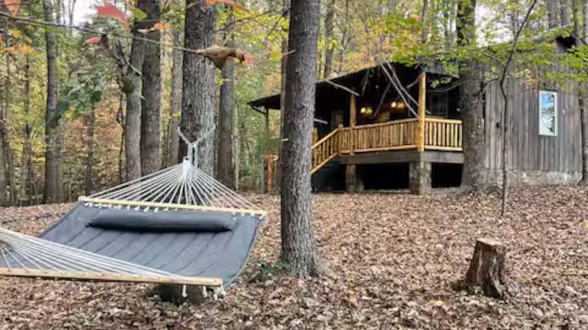 State Road Cabin | New Cozy Cabin in the Blue Ridge Mountains, Wineries, Private & Secluded