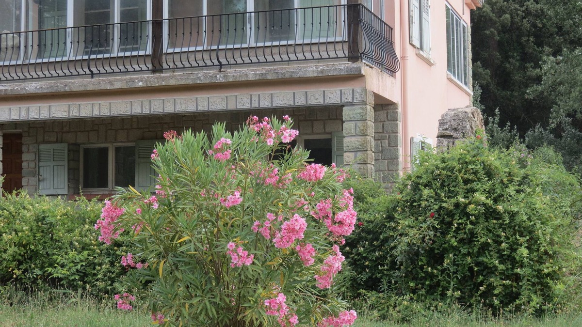 Le Thoronet Cottage | NEW EGLANTINE STUDIO GITE