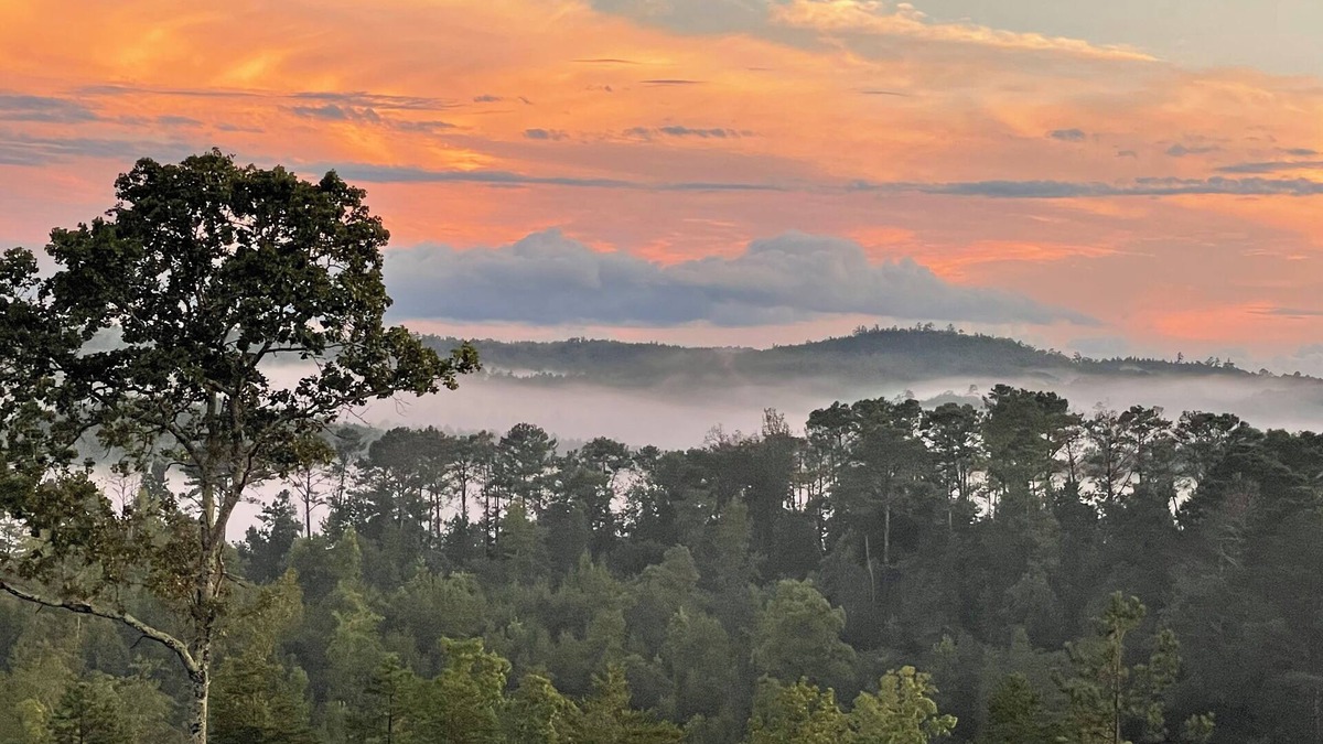 Esom Hill House | New guest house w/awesome view, across from Ladiga bike trail, close to ATV park