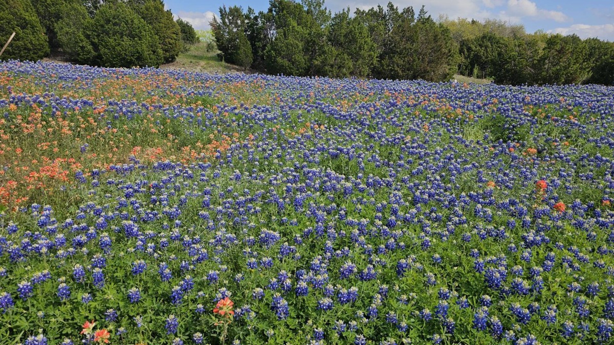 Dripping Springs House | New home in Dripping Springs in the path of the Solar Eclipse with jacuzzi