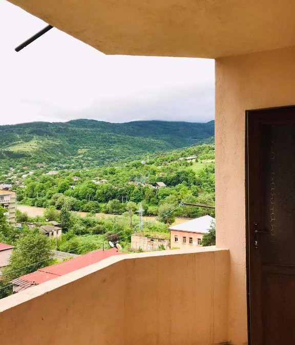 Borjomi Apartment | New house