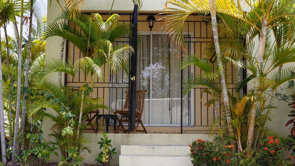 Beverly Hills Apartment | New Kingston Guest Apartment VII