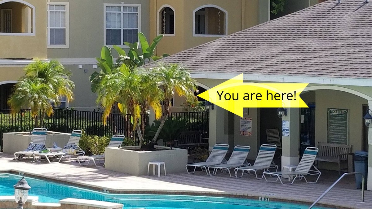 Clearwater Condo | NEW LISTING! AVALON - Newly renovated condo on ground floor with pool view.