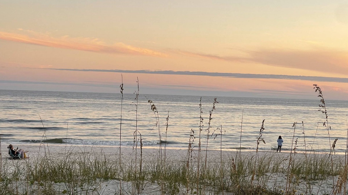 Ono Island Resort | New Listing - Directly On The Beach Gulf Side!