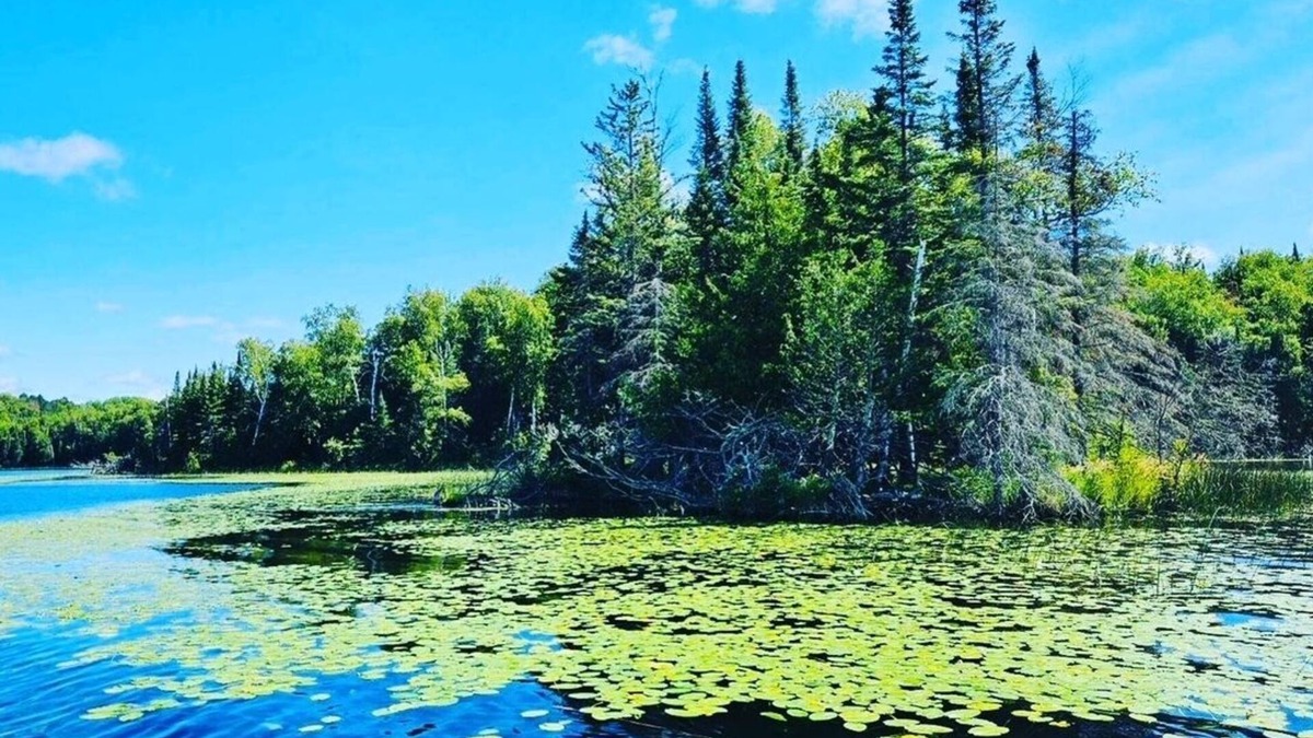 Marcell Cabin | NEW Listing! Restful Lakeside Cabin ~ Resort Amenities!