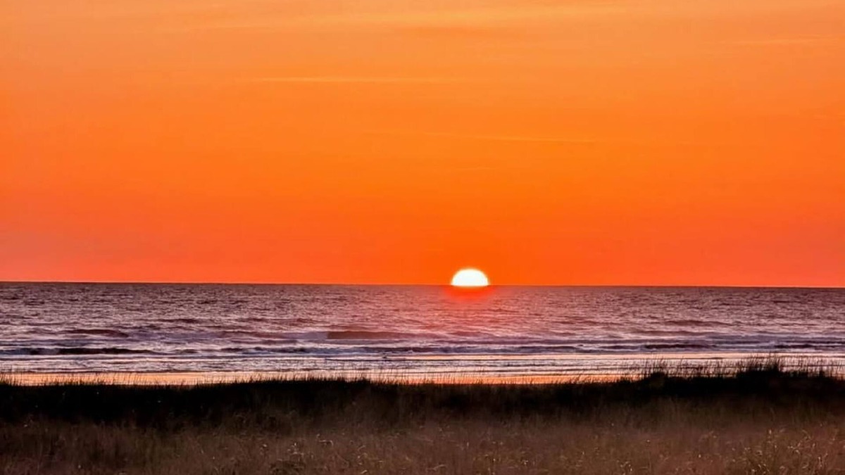 Grayland House | NEW - OCEANFRONT HOME - Views! Path to Beach! Dog Friendly! GREAT Outdoor Spaces