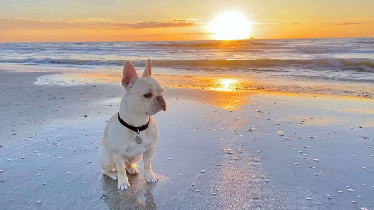 Gilchrist House | New! Pet & Family Friendly*On the Bay