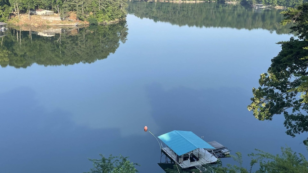 Arley Cabin | New Rental on Beautiful Lewis Smith Lake, AL! Enjoy the beautiful views all day